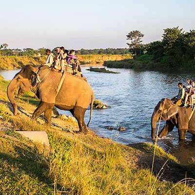 Explore the wildlife at Chitwan National Park, a World heritage Site just 150 kms from our hotel in Bhairahawa for a thrilling experience. 